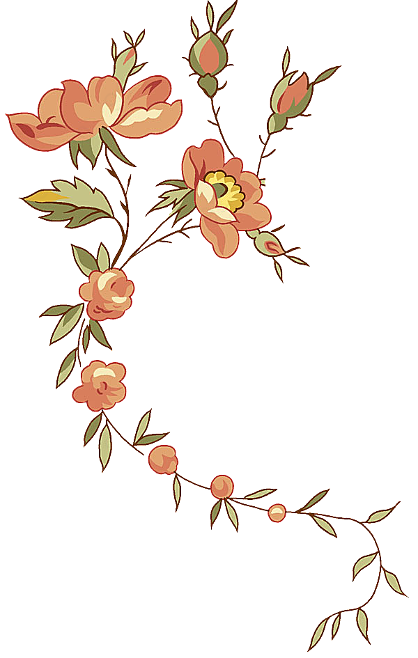 psd精美花纹_2底纹