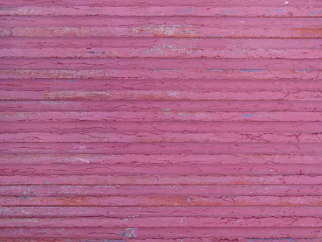 各式背景1603摄影