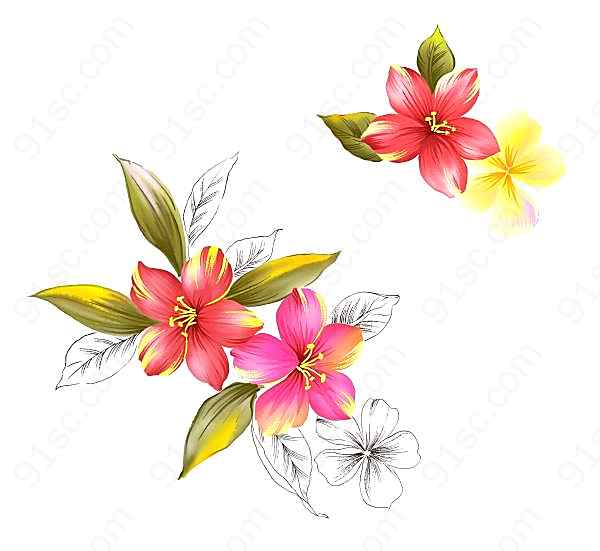手绘花卉源文件设计素材花纹边框