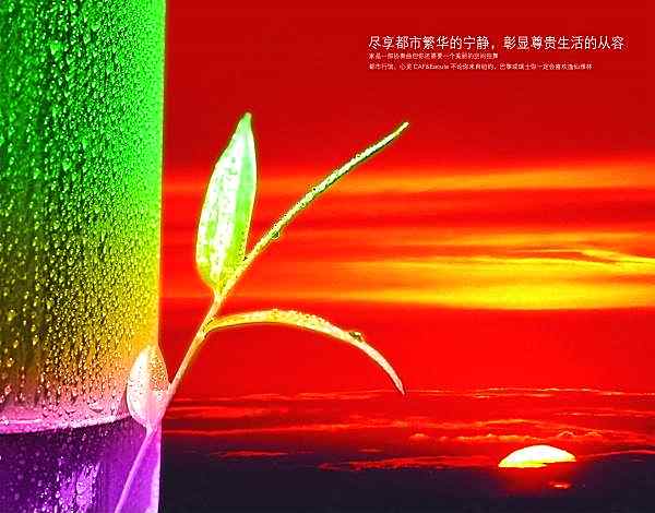 高端地产海报psd分层素材广告海报