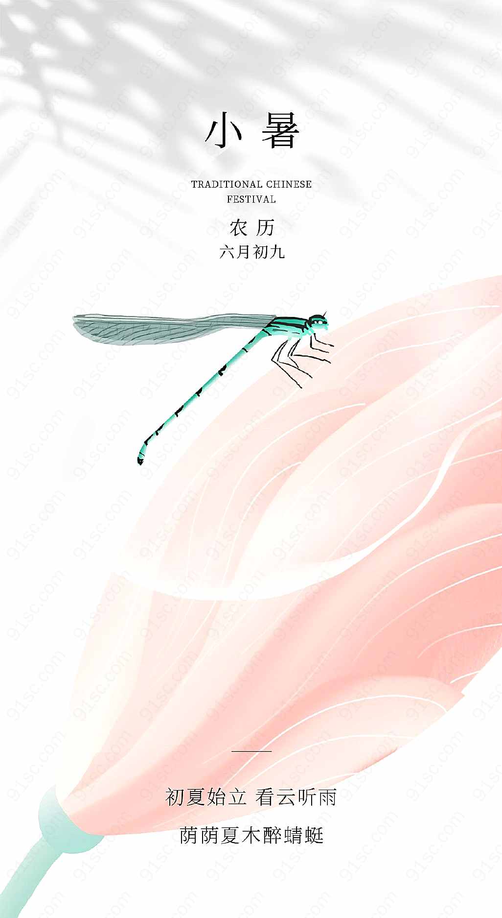 夏季小暑节气荷花与蜻蜓共舞的清新简约海报手机海报手机营销图新媒体用图下载