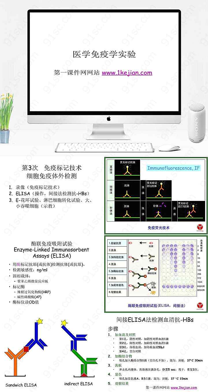 医学免疫学实验
