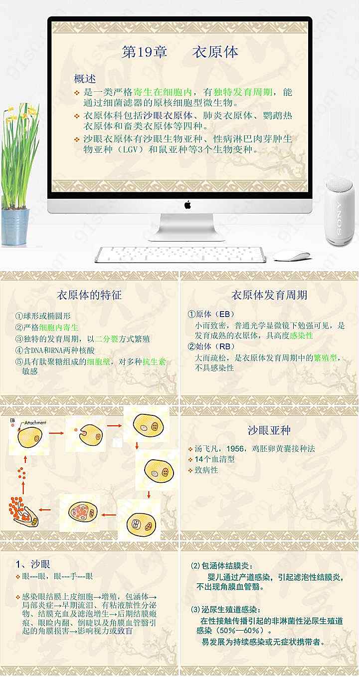 衣原体ppt-医学微生物学课件